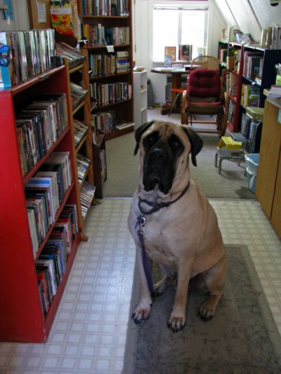 Jack at the a-frame.jpg