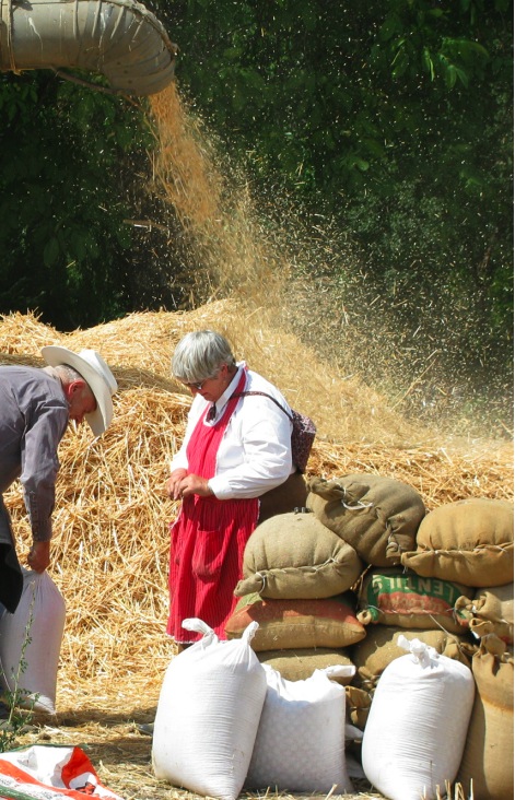 ThreshingChaff&Bags.jpg