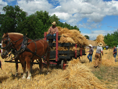 ThreshingTossing.jpg