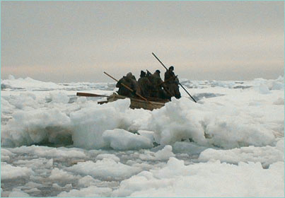 Shackleton replica boat in pack ice.jpg