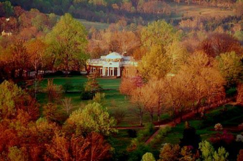 Trees in fall color, surrounding Monticello